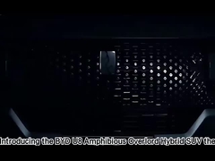 Veicoli a guida a destra BYD Dolphin Hatchback